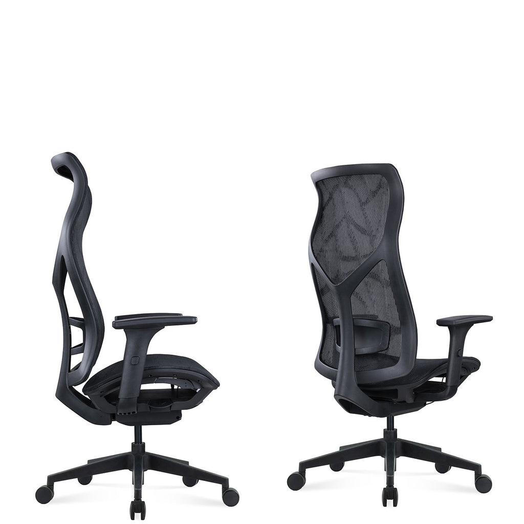 Modern Mesh Ergonomic Office Chair SIT