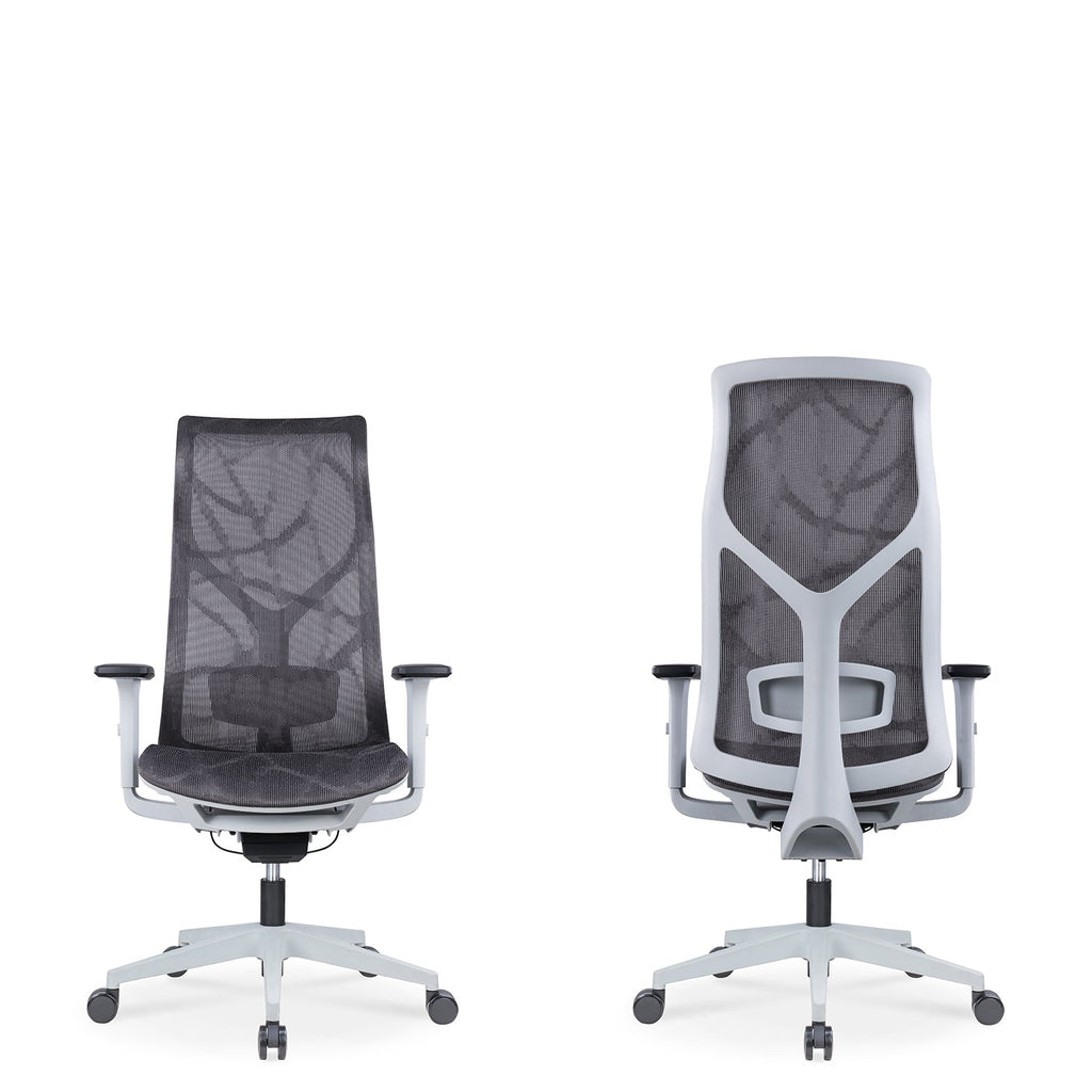 Modern Mesh Ergonomic Office Chair SIT