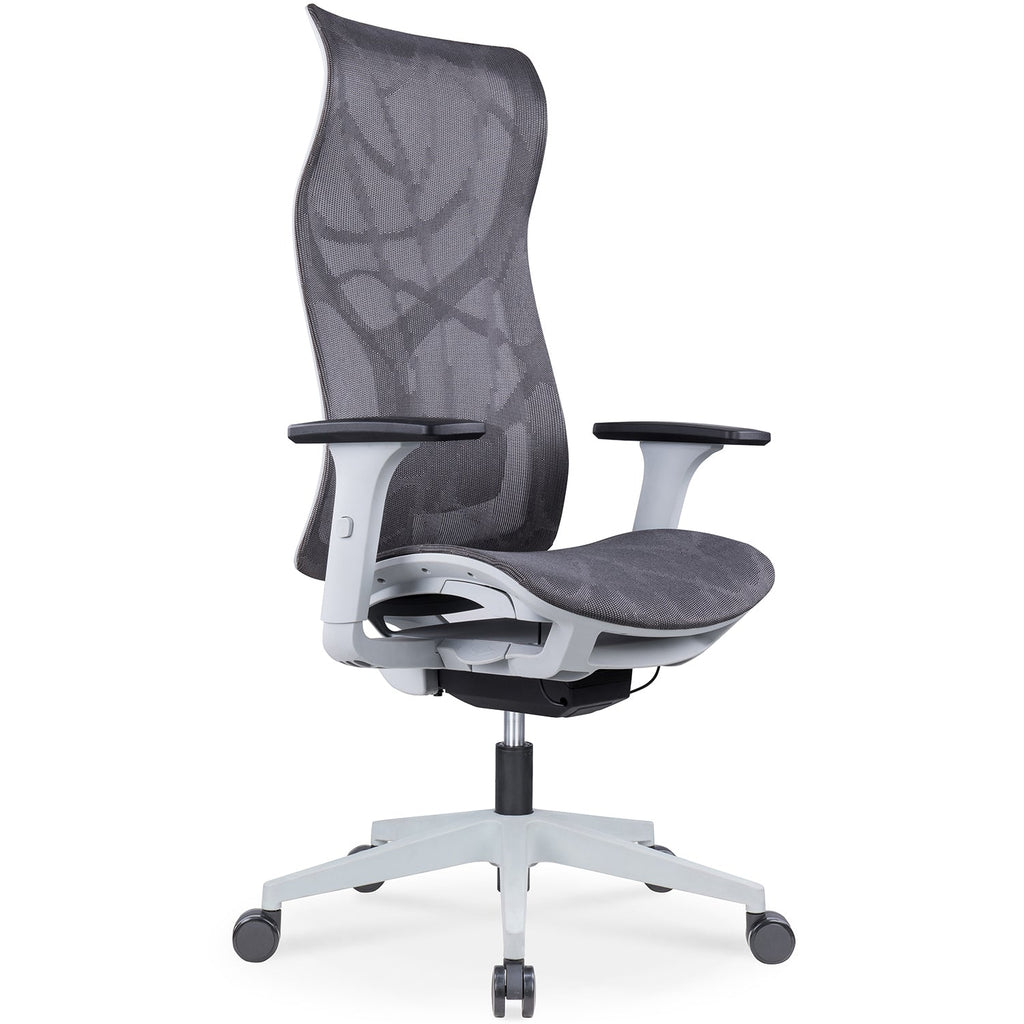 Modern Mesh Ergonomic Office Chair SIT