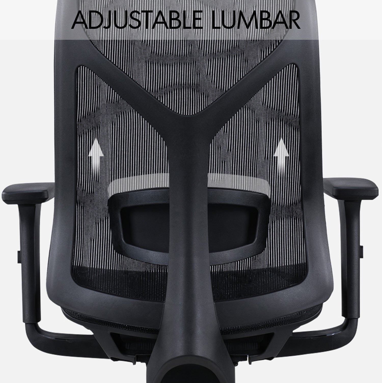 Modern Mesh Ergonomic Office Chair SIT