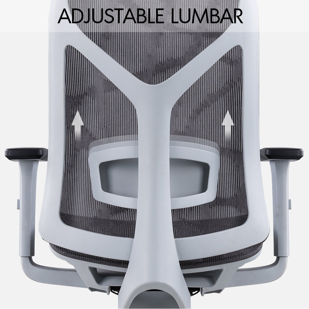 Modern Mesh Ergonomic Office Chair SIT