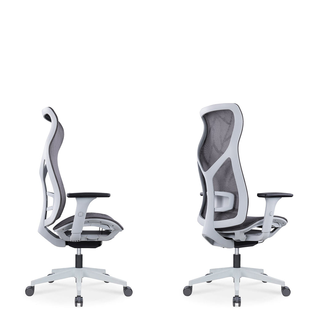 Modern Mesh Ergonomic Office Chair SIT