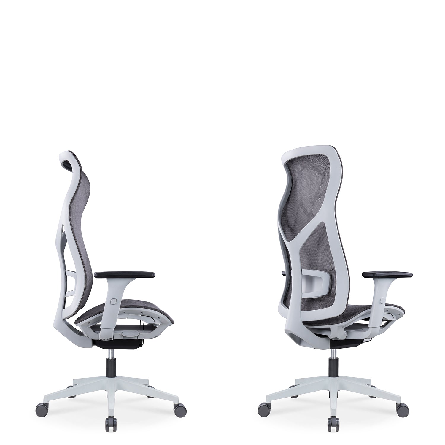 Modern Mesh Ergonomic Office Chair SIT