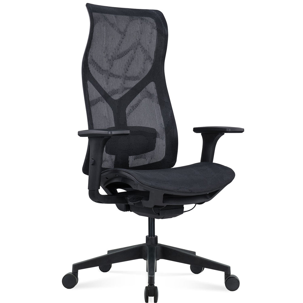 Modern Mesh Ergonomic Office Chair SIT