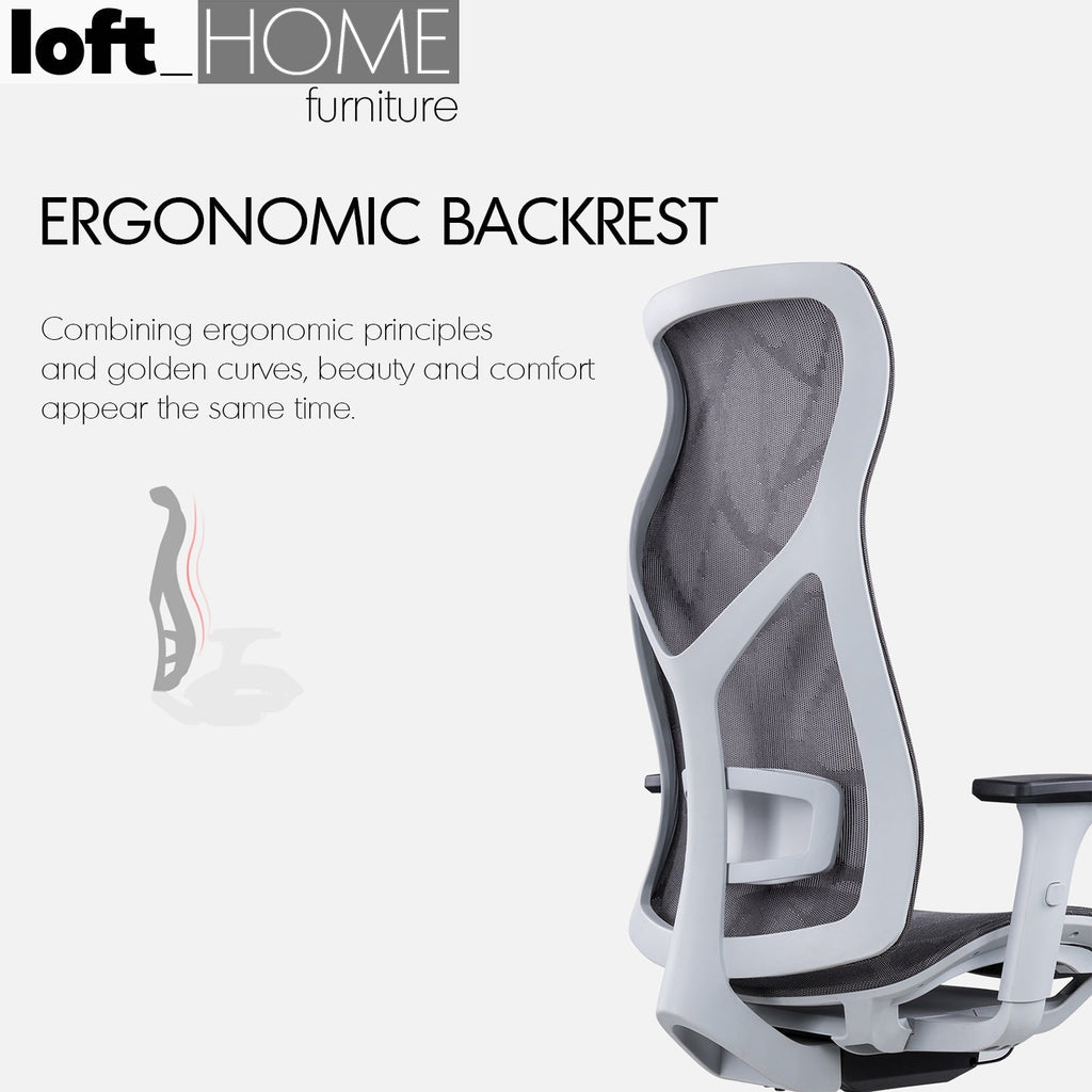 Modern Mesh Ergonomic Office Chair SIT